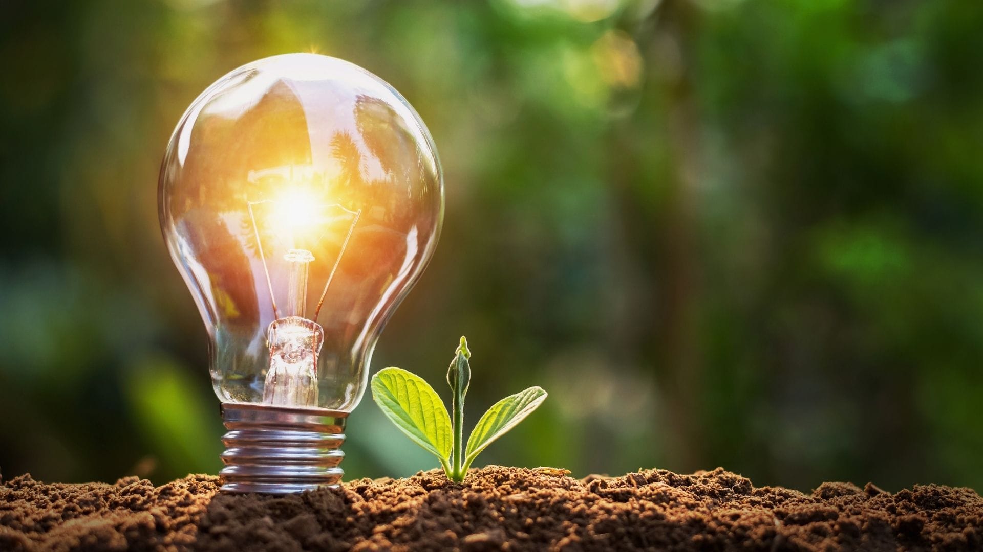 агрохімічна