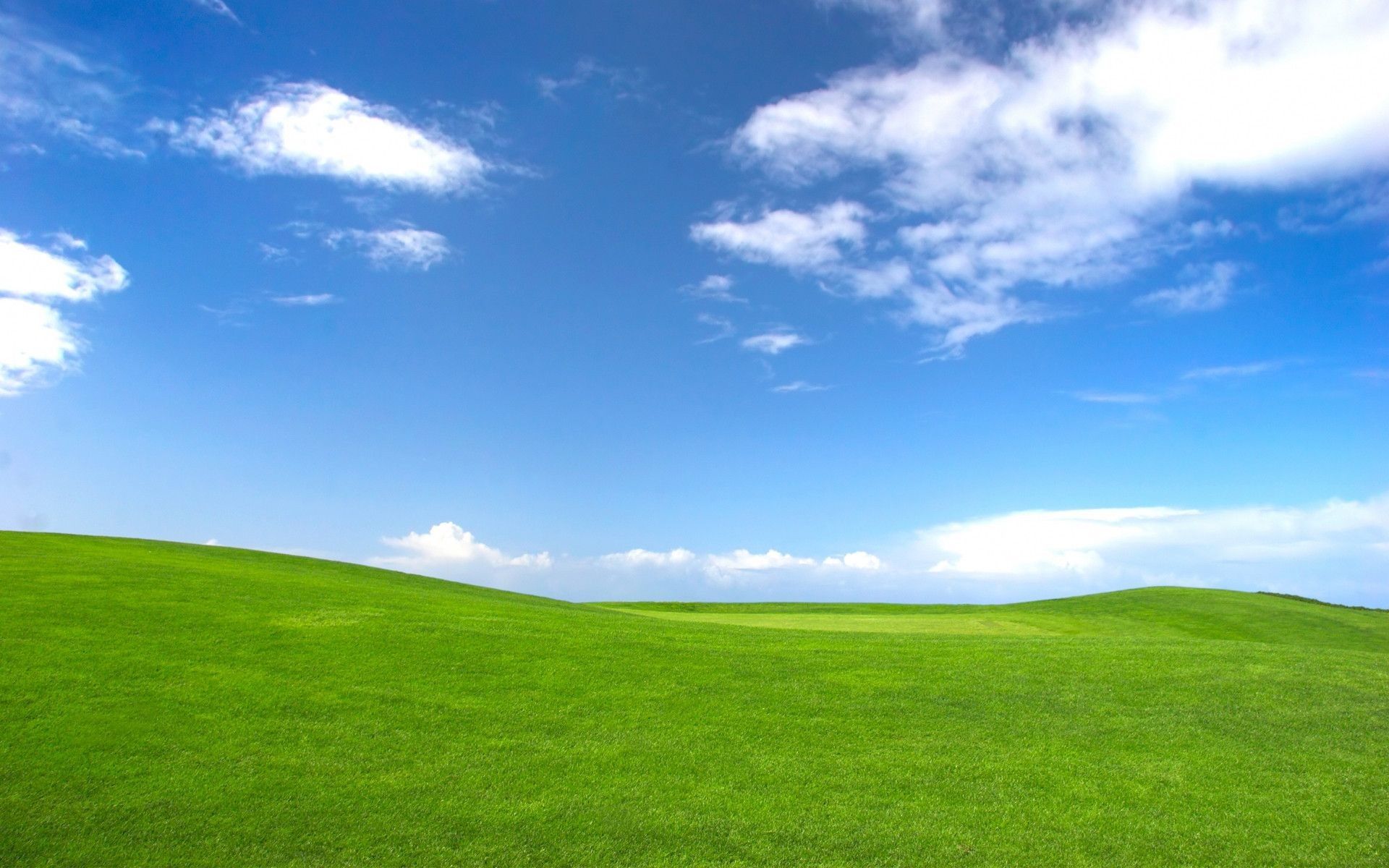 Agrochemicals