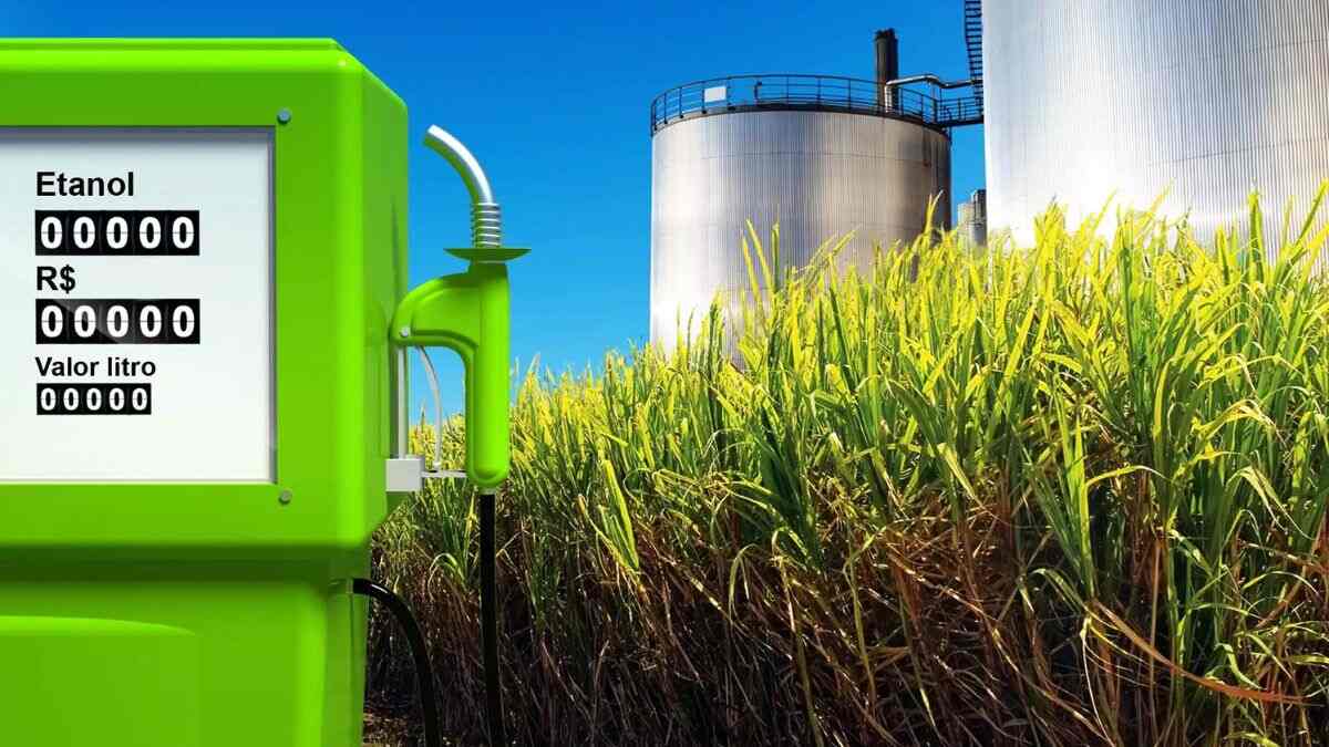 Agrochemicals
