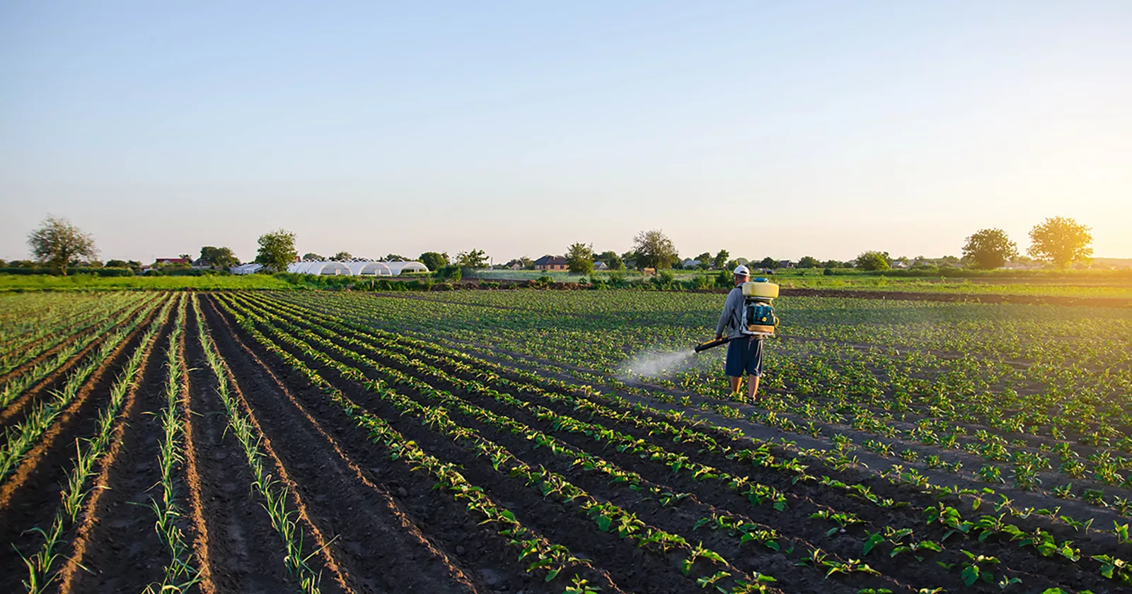Agrochemicals
