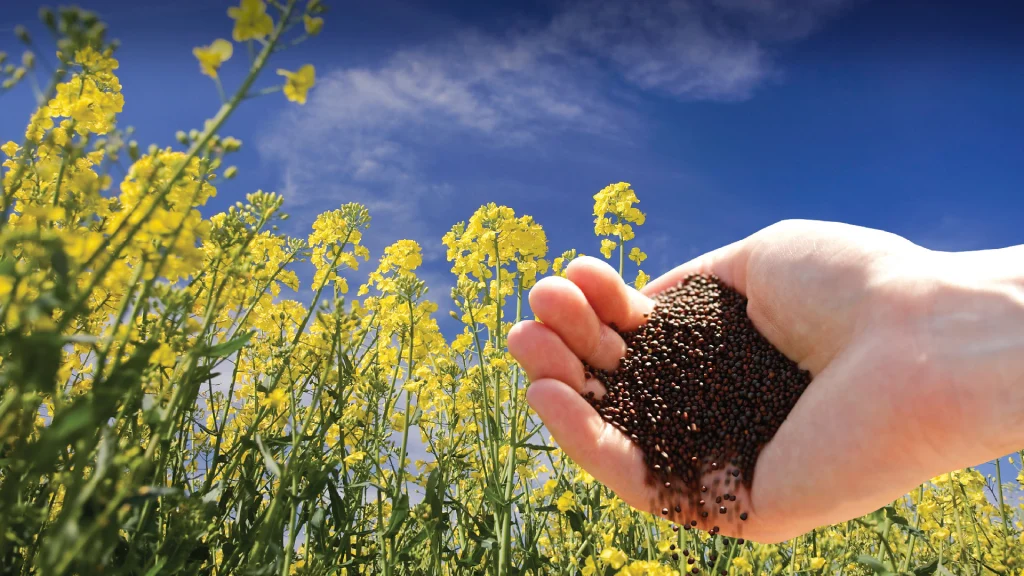 Agrochemicals