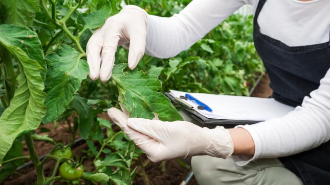 Agrochemicals